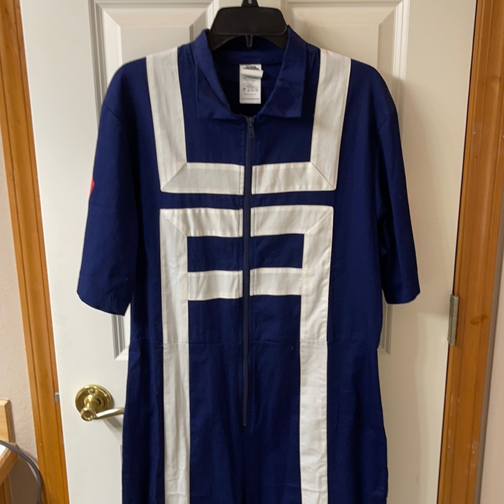 Cosplay or Halloween costume from spirit Halloween